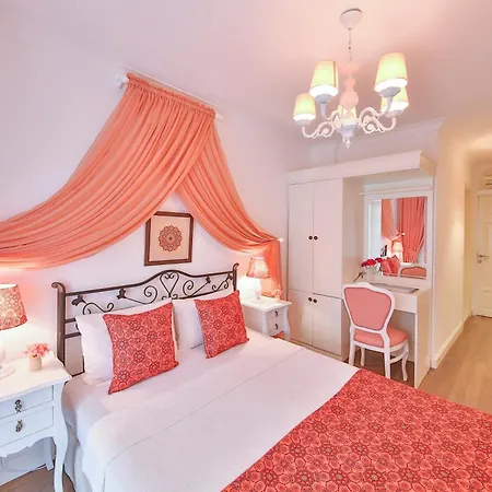 阿拉卡提索夫酒店 阿拉恰特