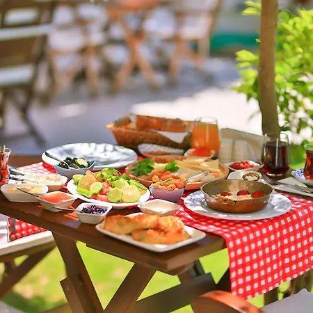 酒店 阿拉卡提索夫酒店