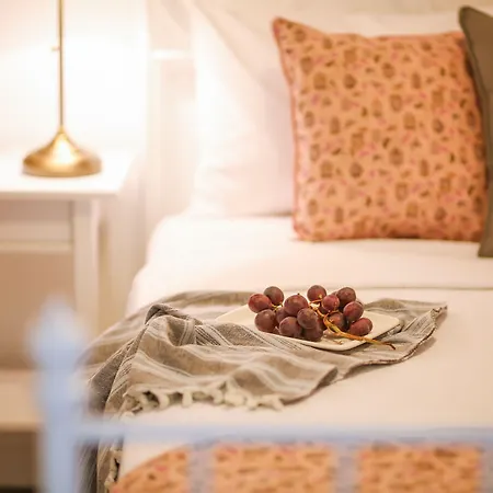 阿拉卡提索夫酒店 酒店