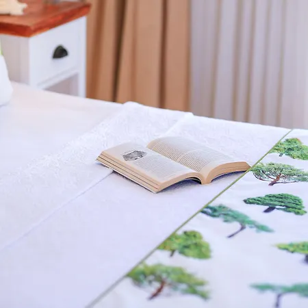 阿拉卡提索夫酒店