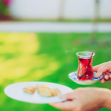 阿拉卡提索夫酒店 酒店 2*