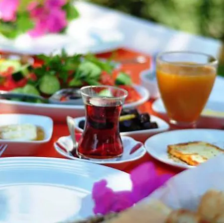 酒店 阿拉卡提索夫酒店