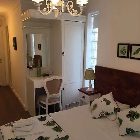 阿拉卡提索夫酒店