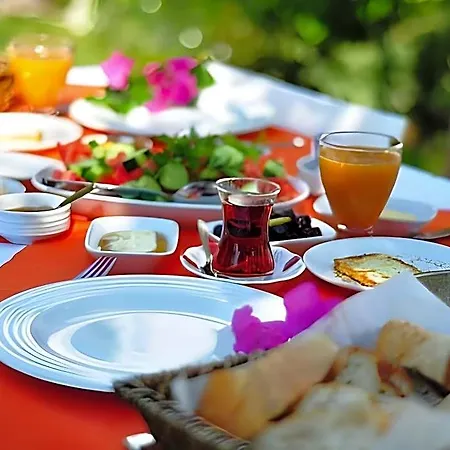 فندق Sorf