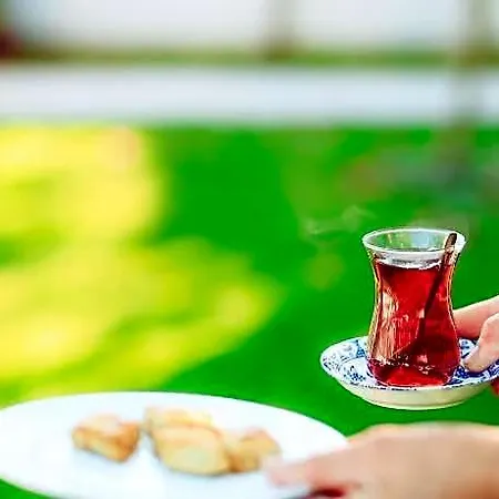 Sorf Hotel 2*